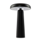 Аккумуляторный светильник Freya FR6109TL-L4B