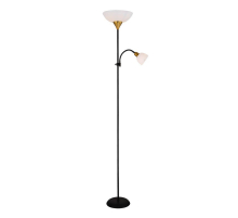 Торшер Arte Lamp Duetto A9569PN-2BK