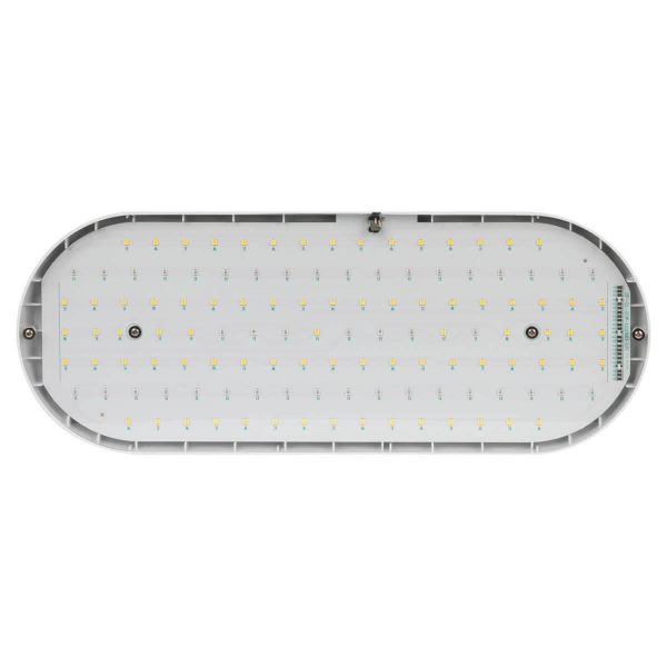 Светодиодный подвесной светильник для растений ЭРА Fito-25W-Qled-Fly Б0053062 Светодиодный подвесной светильник для растений ЭРА Fito-25W-Qled-Fly Б0053062
