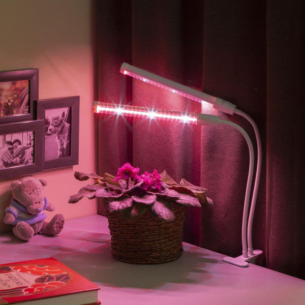 Настольная лампа ЭРА Crocus Fito-20W-Aled Б0039171 Настольная лампа ЭРА Crocus Fito-20W-Aled Б0039171