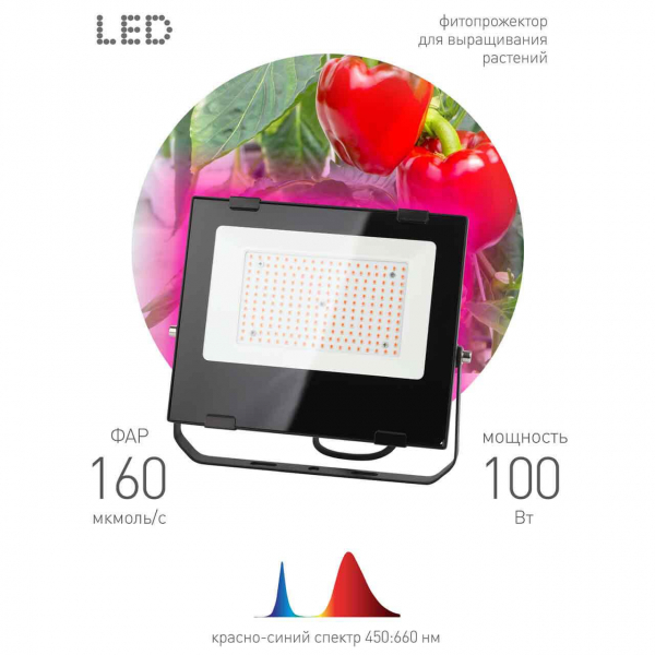 Прожектор светодиодный ЭРА PRO 100W 1200K Fito-100W-RB-Led Б0046369 Прожектор светодиодный ЭРА PRO 100W 1200K Fito-100W-RB-Led Б0046369