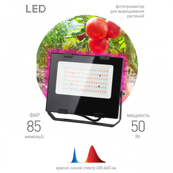 Прожектор светодиодный ЭРА PRO 50W 1200K Fito-50W-RB-Led Б0046368 Прожектор светодиодный ЭРА PRO 50W 1200K Fito-50W-RB-Led Б0046368