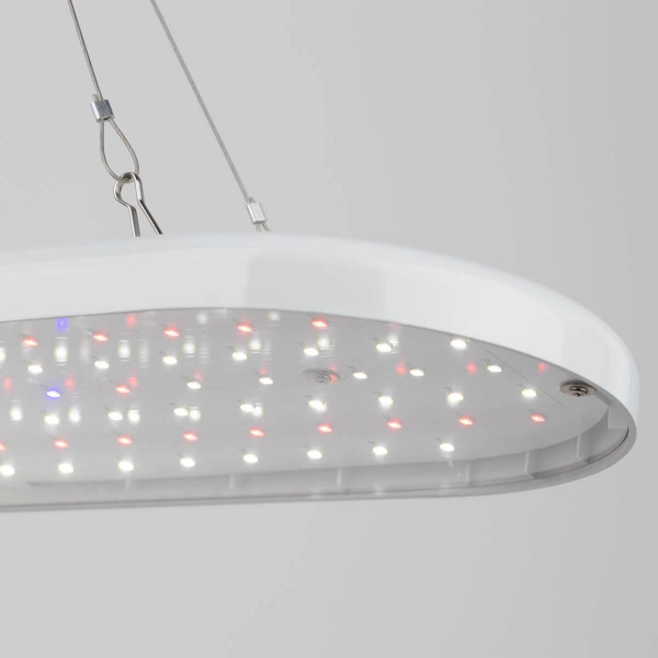 Светодиодный подвесной светильник для растений ЭРА Fito-25W-Qled-Fly Б0053062 Светодиодный подвесной светильник для растений ЭРА Fito-25W-Qled-Fly Б0053062