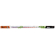 Настенный светодиодный светильник для растений Jazzway PPG Agro 5025936