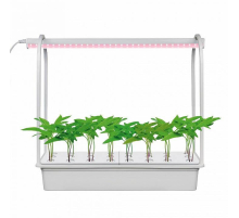 Светодиодный светильник для растений Uniel Minigarden ULT-P44D-10W/Sple IP20 Aqua Simple White UL-00004499