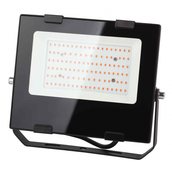 Прожектор светодиодный ЭРА PRO 50W 1200K Fito-50W-RB-Led Б0046368 Прожектор светодиодный ЭРА PRO 50W 1200K Fito-50W-RB-Led Б0046368