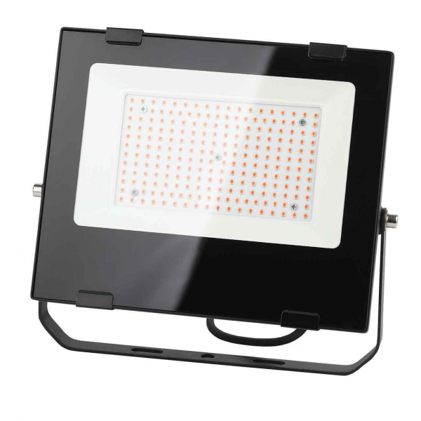 Прожектор светодиодный ЭРА PRO 100W 1200K Fito-100W-RB-Led Б0046369 Прожектор светодиодный ЭРА PRO 100W 1200K Fito-100W-RB-Led Б0046369