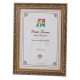 Фоторамка FA пластик Шелковый путь золото 21х30 (16/384) Б0050006