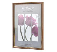 Фоторамка Interior Office 588 21*30 карельская береза (25/400) Б0030710