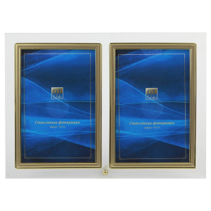 Фоторамка GT 224/-G вертикальная прямая двойная, золото 10х15 (12/24/960) C0004436