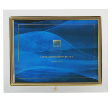 Фоторамка GT 136/G горизонтальная приямая 15*20 (12/36/1008) C0001691