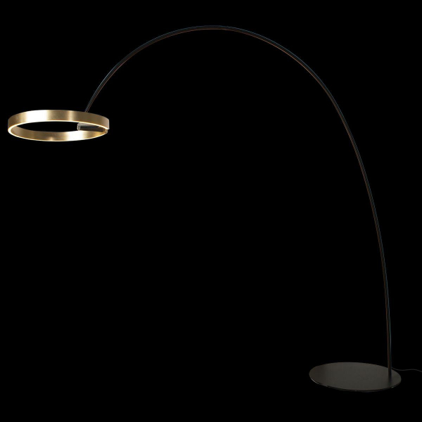 Торшер Loft IT Ring 10027 Торшер Loft IT Ring 10027