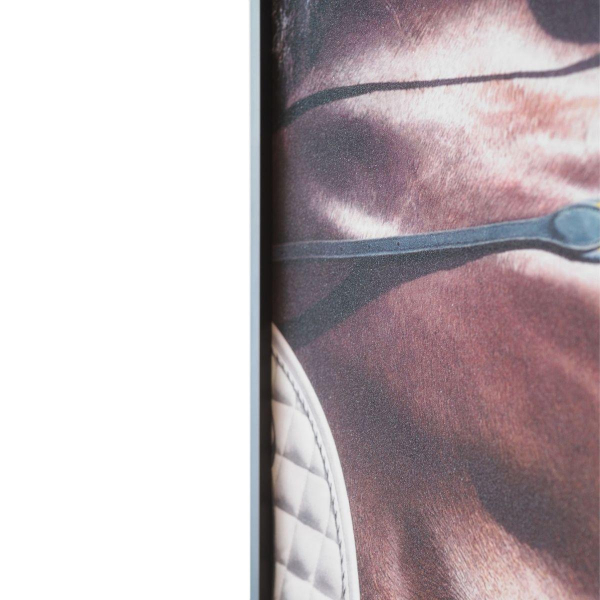 Картина Lumina Deco FP Horse 80-120