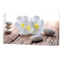 Холст Toplight 50х100х3см TL-H0031