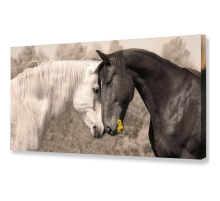 Холст Toplight 50х100х3см TL-H0018