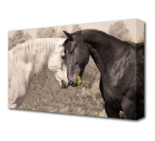 Холст Toplight 60х100х3см TL-H1050