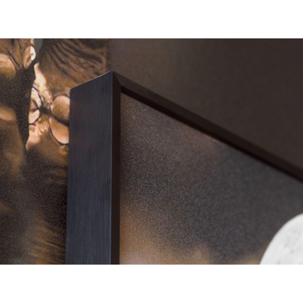 Картина Lumina Deco FP Elephant 80-120