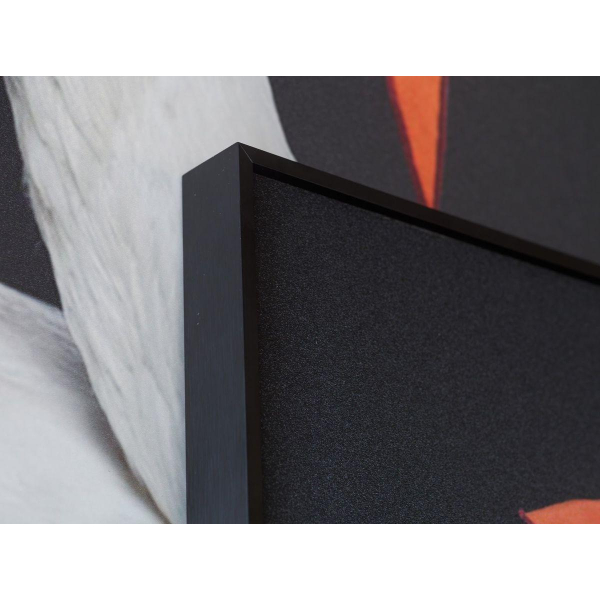 Картина Lumina Deco FP Hermes Swan 50-70