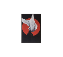 Картина Lumina Deco FP Wings 50-70