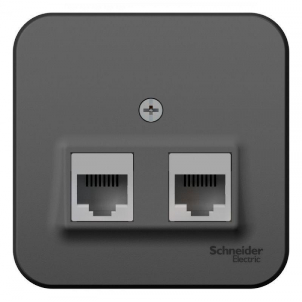 Розетка компьютерная двойная RJ45 Systeme Electric Blanca 5e кат UTP антрацит BLNIA045456 Розетка компьютерная двойная RJ45 Systeme Electric Blanca 5e кат UTP антрацит BLNIA045456