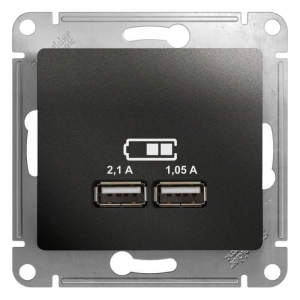 Розетка двойная USB Systeme Electric Glossa Type A+A антрацит GSL000733