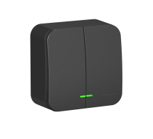 Выключатель двухклавишный Systeme Electric Blanca 10A 250V с подсветкой антрацит BLNVA105116