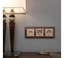 Лицевая панель Werkel розетки RJ45 и RJ11 шампань W1192011 4690389163678