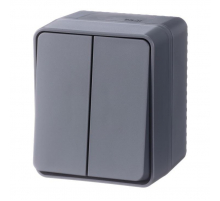 Выключатель двухклавишный Systeme Electric AtlasDesign 10A 250V антрацит ATN544051 Выключатель двухклавишный Systeme Electric AtlasDesign 10A 250V антрацит ATN544051