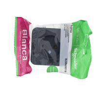 Розетка 2К Systeme Electric Blanca 16A 250V антрацит BLNRA000116