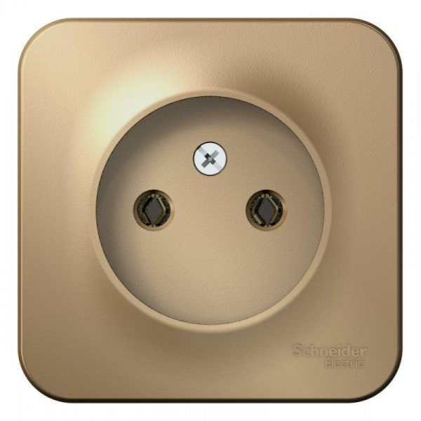 Розетка 2К Systeme Electric Blanca 16A 250V титан BLNRA000114 Розетка 2К Systeme Electric Blanca 16A 250V титан BLNRA000114