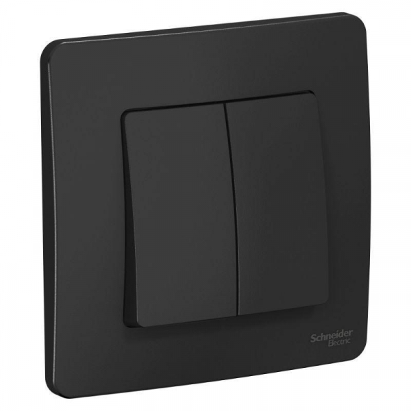 Выключатель двухклавишный Systeme Electric Blanca 10A 250V антрацит BLNVS010506 Выключатель двухклавишный Systeme Electric Blanca 10A 250V антрацит BLNVS010506