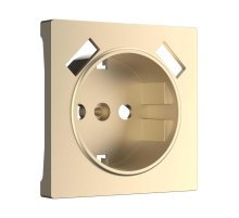 Накладка для розетки USB Werkel шампань W1179511 4690389157462