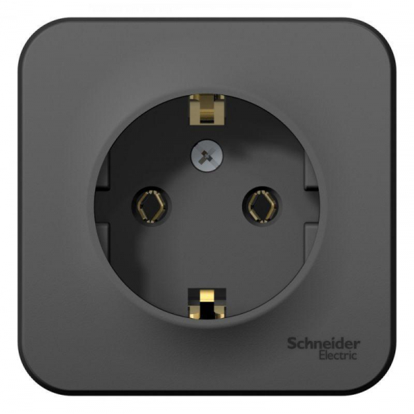 Розетка 2К+З Systeme Electric Blanca 16A 250V антрацит BLNRA010116 Розетка 2К+З Systeme Electric Blanca 16A 250V антрацит BLNRA010116