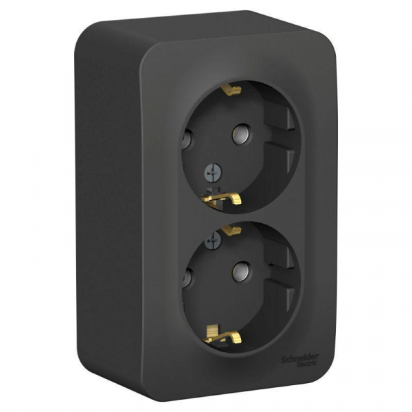 Розетка двойная 2К+З Systeme Electric Blanca 16A 250V антрацит BLNRA010206 Розетка двойная 2К+З Systeme Electric Blanca 16A 250V антрацит BLNRA010206
