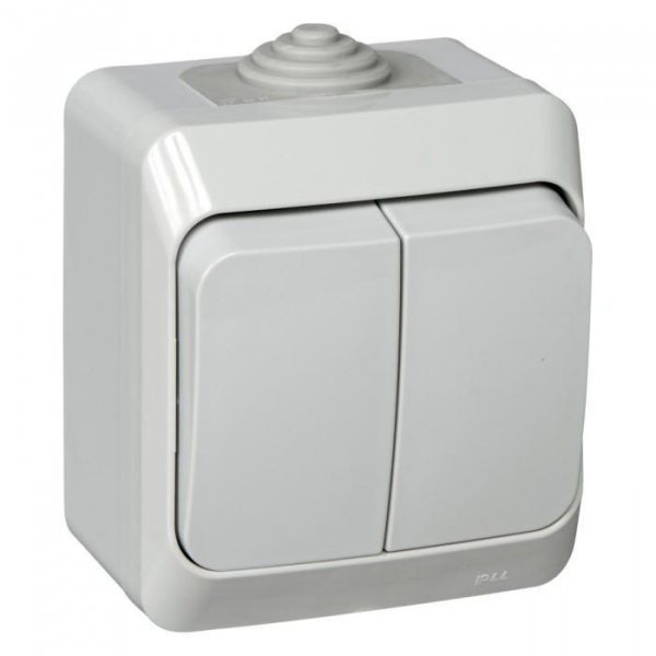Выключатель двухклавишный Systeme Electric Этюд 10A 250V серый BA10-042C Выключатель двухклавишный Systeme Electric Этюд 10A 250V серый BA10-042C