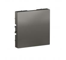 Заглушка Systeme Electric AtlasDesign сталь ATN000909 Заглушка Systeme Electric AtlasDesign сталь ATN000909