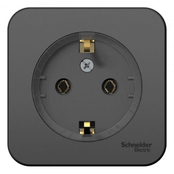 Розетка 2К+З Systeme Electric Blanca 16A 250V антрацит BLNRA110116 Розетка 2К+З Systeme Electric Blanca 16A 250V антрацит BLNRA110116