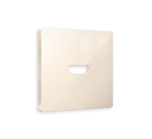 Лицевая панель розетки AMBRELLA VOLT AP3140