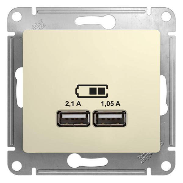 Розетка двойная USB Systeme Electric Glossa Type A+A бежевая GSL000233 Розетка двойная USB Systeme Electric Glossa Type A+A бежевая GSL000233