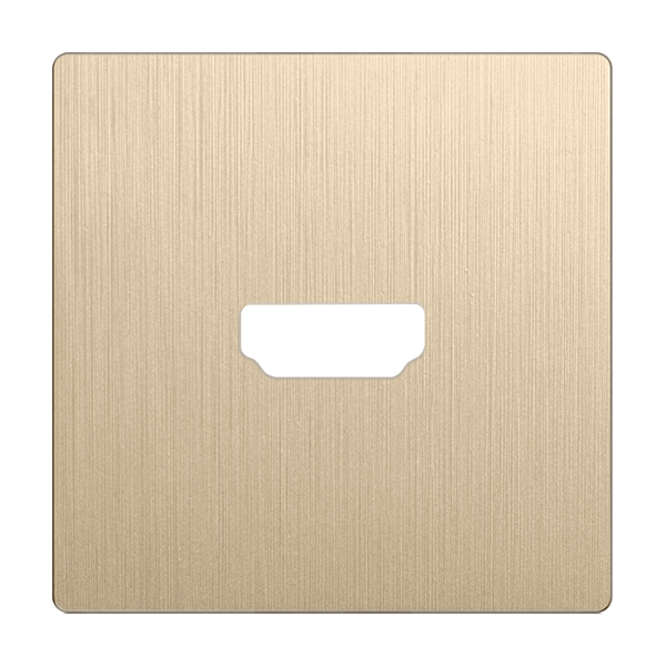 Накладка Werkel для розетки HDMI шампань рифленый WL10-HDMI-CP 4690389128332