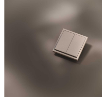 Клавиши для выключателя/переключателя двухклавишного, S70 Metal (платина) Voltum VLSM000310