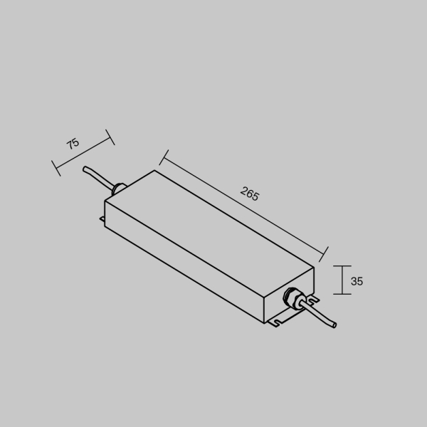 Источник напряжения Maytoni Led Strip 812006