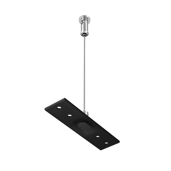 Подвес Maytoni Technical Exility Busbur TRA034SW-2B Подвес Maytoni Technical Exility Busbur TRA034SW-2B