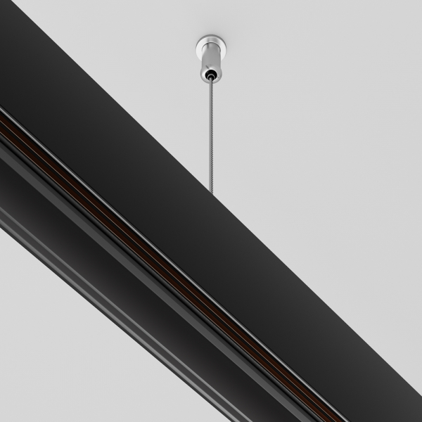 Подвес Maytoni Technical Exility Busbur TRA034SW-2B Подвес Maytoni Technical Exility Busbur TRA034SW-2B
