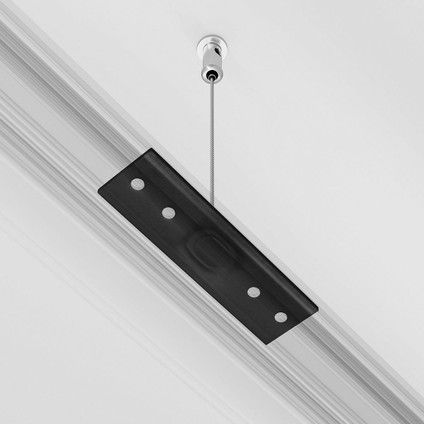 Подвес Maytoni Technical Exility Busbur TRA034SW-2B Подвес Maytoni Technical Exility Busbur TRA034SW-2B
