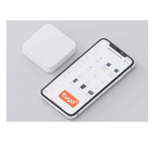 Конвертер WIFI Luminotti L.253.1.WH