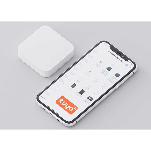 Конвертер WIFI Luminotti L.253.1.WH Конвертер WIFI Luminotti L.253.1.WH