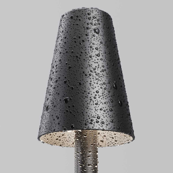 Ландшафтный светильник Maytoni Outdoor O504FL-L1B3K