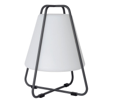 Уличный светодиодный светильник Lucide Pyramid 27801/01/29