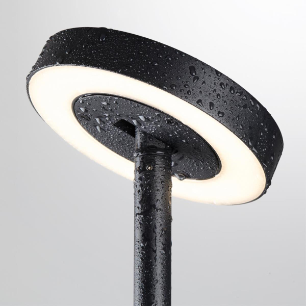 Ландшафтный светильник Odeon Light Disc Nature 7189/6GL
